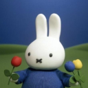 miffy-chan avatar
