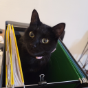 mightyducks19 avatar