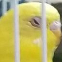 mightymunch66 avatar