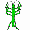 mightystickbug avatar