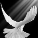 mightywindx-blog avatar