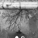 migrationwall avatar