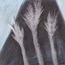 miguelangeltlacuilo avatar