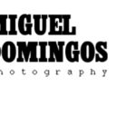 migueldomingos avatar