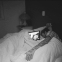 mihannosalvata avatar