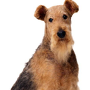 mikayla-walters avatar