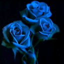 mikesteel6969 avatar