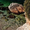 milakunisandwords avatar