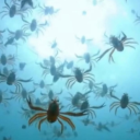 mildew-banner avatar