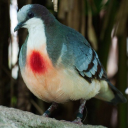 mildly-inspiring avatar