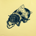 mildly-irritating-bees avatar