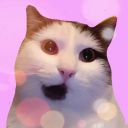 mildlydisturbingcosmiccat avatar