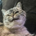 milenaninmektuplari avatar