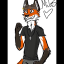 milesfox17-blog avatar