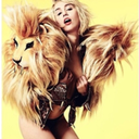 miley1dh avatar