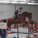 milionerka-showjumper avatar