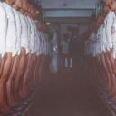 militaryprisonerfetish avatar