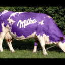 milkahcow avatar