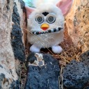 milkandnoodle avatar