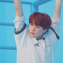 milkcartonrabbit avatar