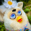 milkfurby avatar