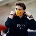 milking-lando-norris avatar