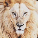 milkingthefeeling avatar