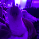 milkingtonthethird avatar