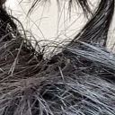 milkshakeenjoyer avatar