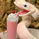 milkshakesnake avatar