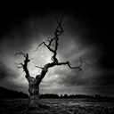 milkshakez1995 avatar