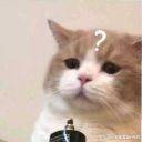 milktecrossing avatar