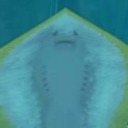 milkweedresident avatar