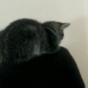 milkyway-ahoy avatar