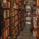 milkywaysandnebulas avatar