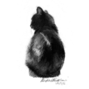 milleetunbouquets avatar