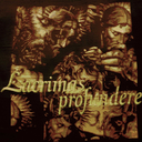 millenniumrhapsody avatar