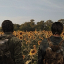 millersflowermarket avatar