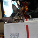 millersmostdope avatar