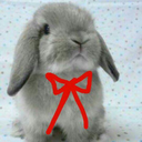 millielow-blog avatar