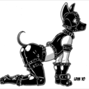 milo-puppi avatar