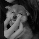 milosnamilosc avatar