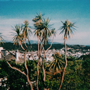 miluielmaethoriel-blog avatar