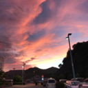 mima-medlaw-blog avatar