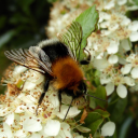 mimi-jumping-through-topics avatar