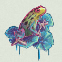 mimicfrog avatar