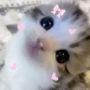 mimiiich avatar