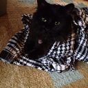 mimilovesweet avatar