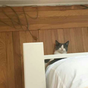 mimimizahilerce avatar