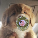 mimirsmemories avatar